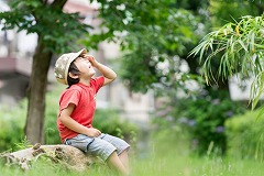 即日　認可保育園　希望の時間、日数を選べます