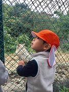 急募　認可保育園　人気な時間の勤務