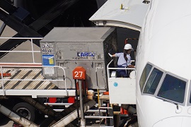 福岡空港国際線　機内清掃・手荷物積み付け業務